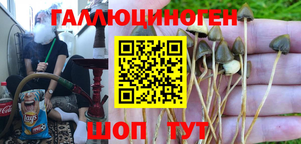 Псилоцибиновые грибы Magic Shrooms Прокопьевск