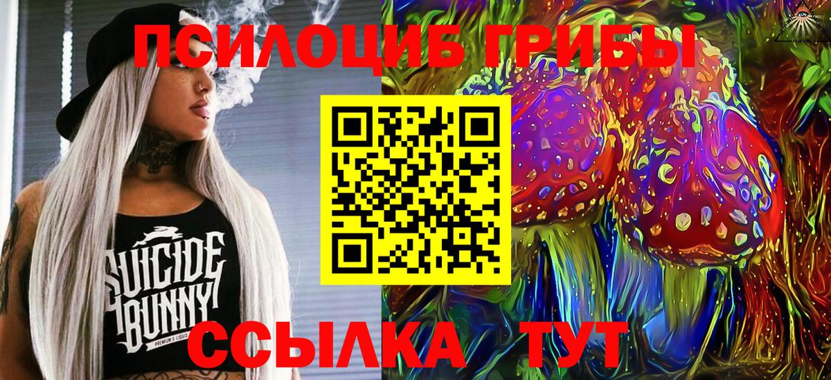Прокопьевск  Псилоцибиновые грибы Magic Shrooms  Вход с VPN 